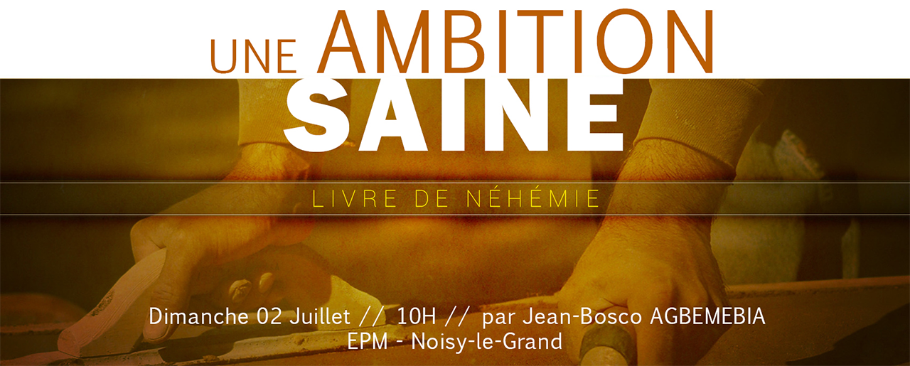 Une ambition saine web site2